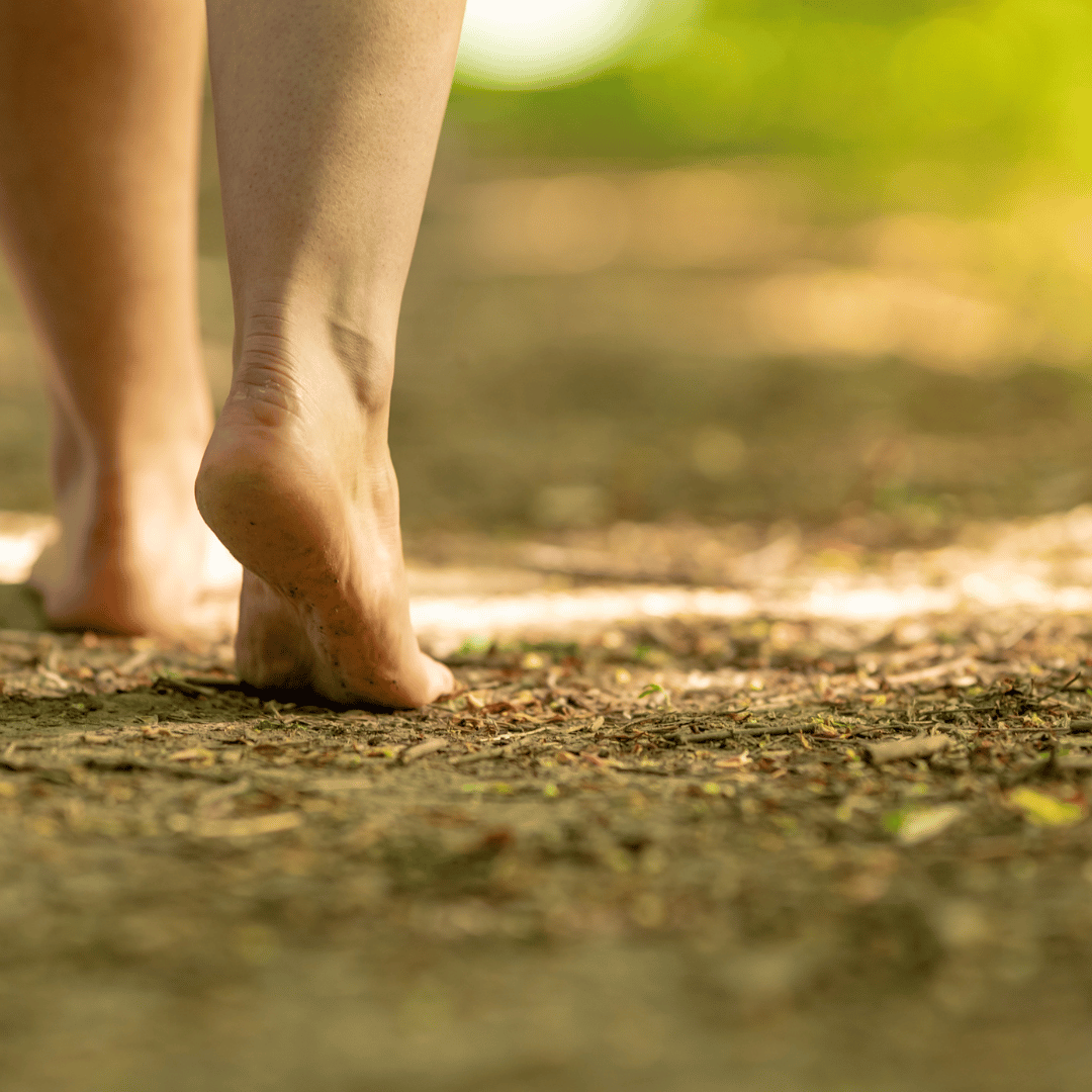 In This Blog, We Will Explore The Numerous Benefits Of Grounding 